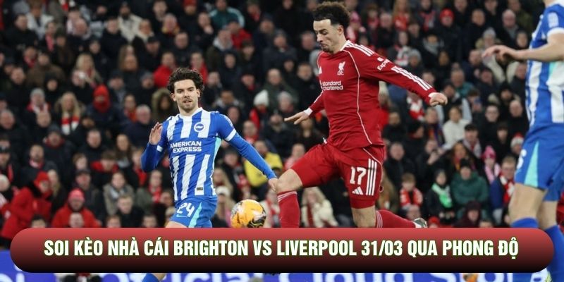 Soi kèo nhà cái Brighton vs Liverpool 31/03 qua phong độ Soi kèo nhà cái Brighton vs Liverpool 31/03 qua phong độ